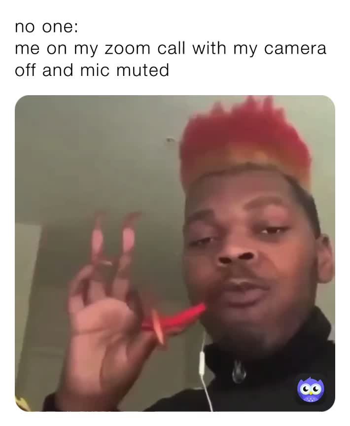 No one: me on my Zoom call with my camera off and mic muted
