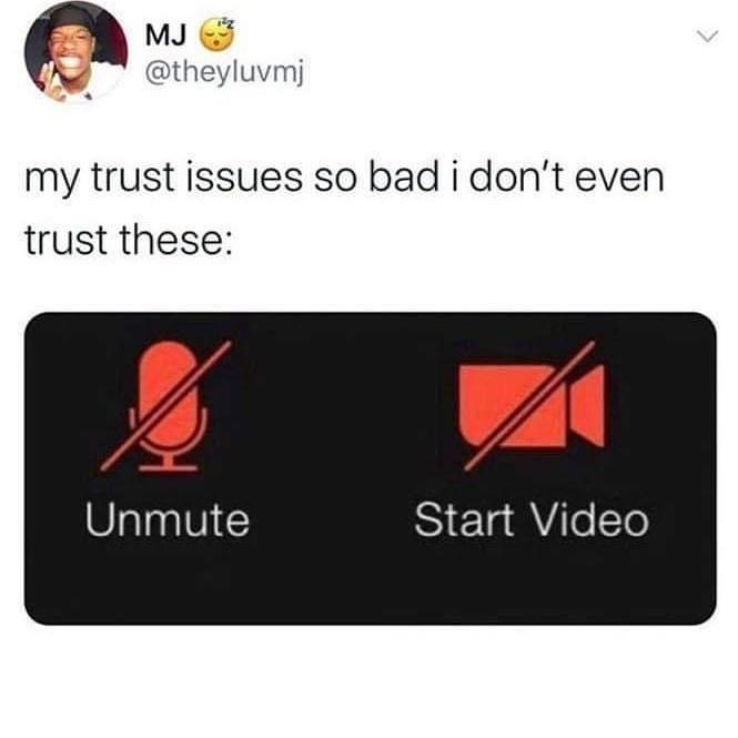 Zoom mute controls captioned: my trust issues so bad I don't even trust these