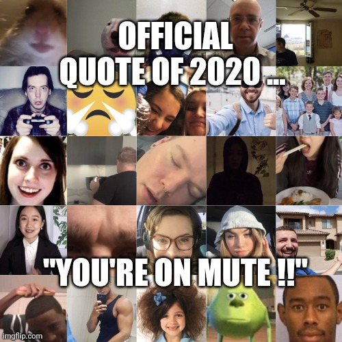 Zoom call collage captioned: official quote of 2020, you're on mute